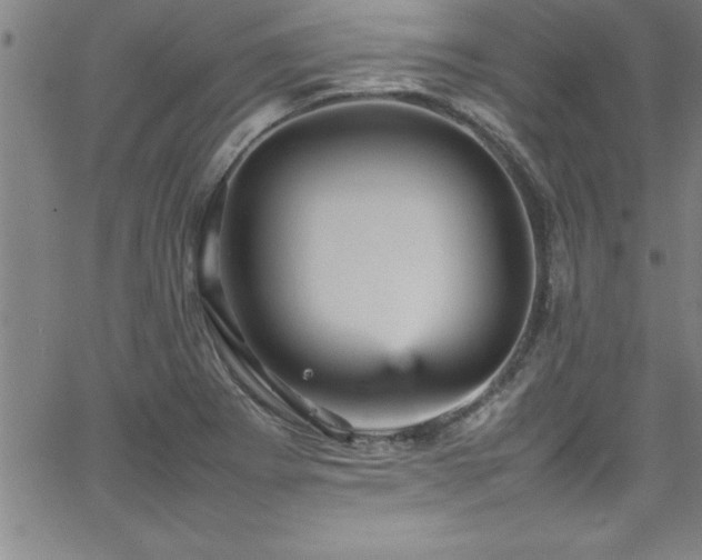 X0000065981273200603061205