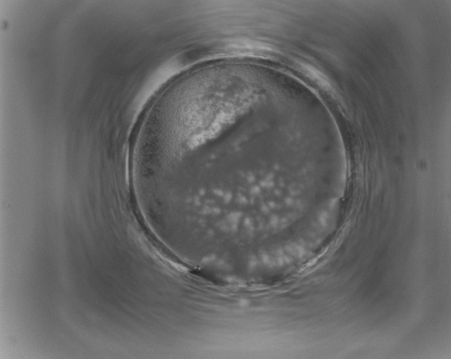 X0000065981275200603061205