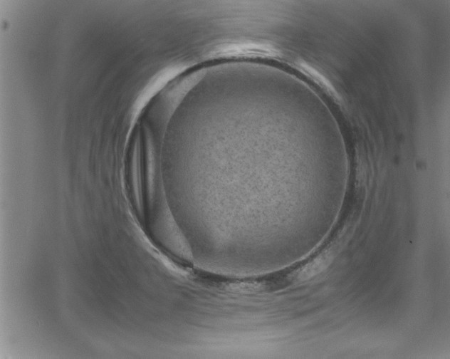 X0000065981277200603061205