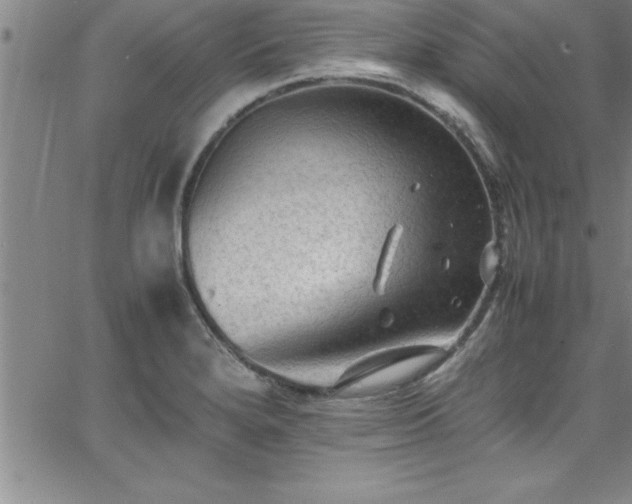 X0000065981280200603061205