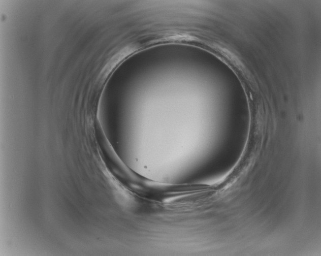 X0000065981281200603061205