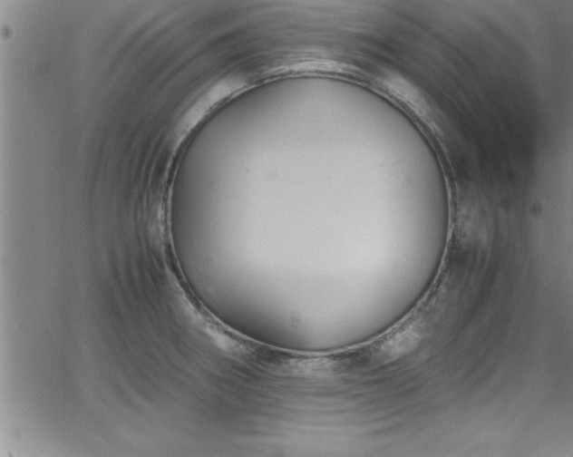 X0000065981282200603061205