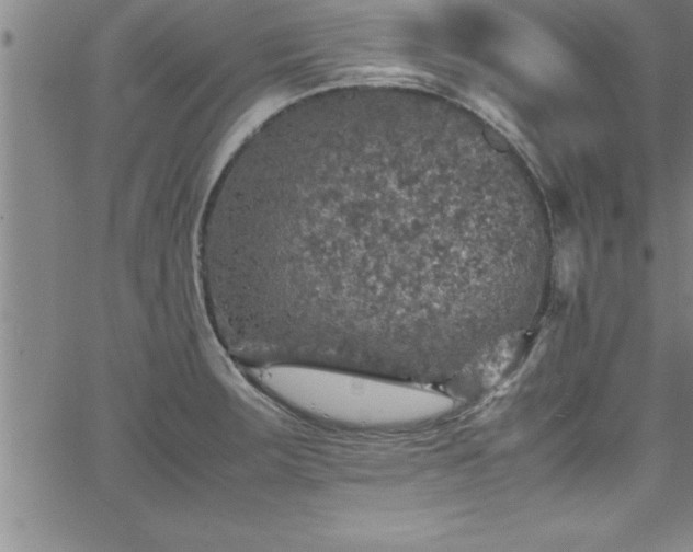 X0000065981283200603061205