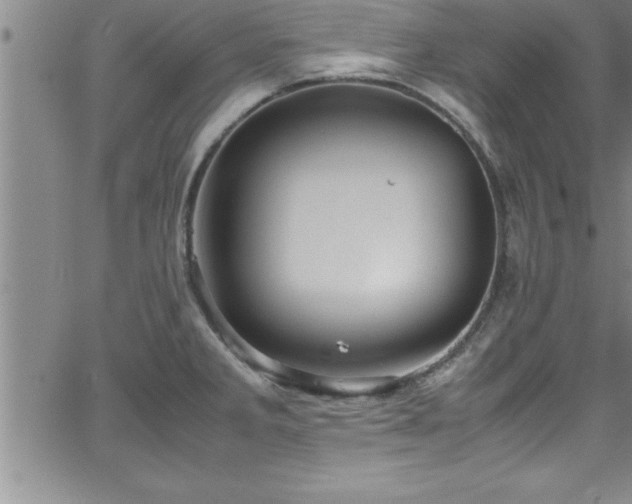 X0000065981285200603061205