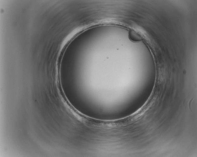 X0000065981286200603061205