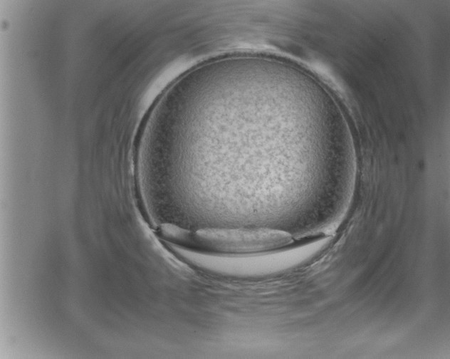 X0000065981287200603061205