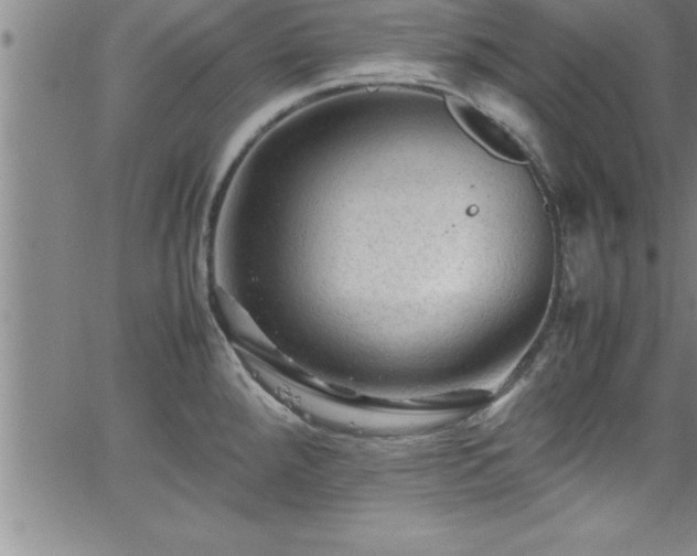 X0000065981288200603061205