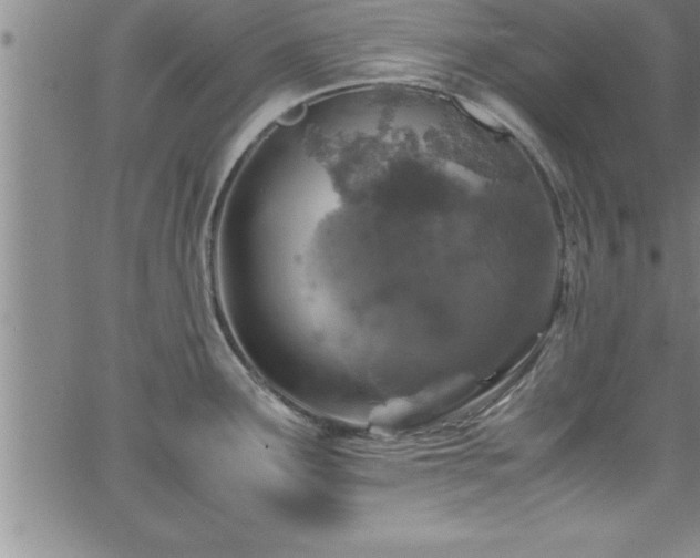 X0000065981291200603061205