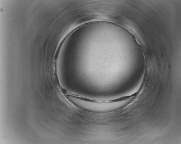 X0000065981292200603061205