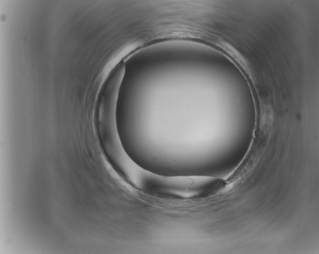 X0000065981293200603061205