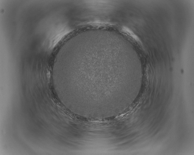 X0000065981302200603061204