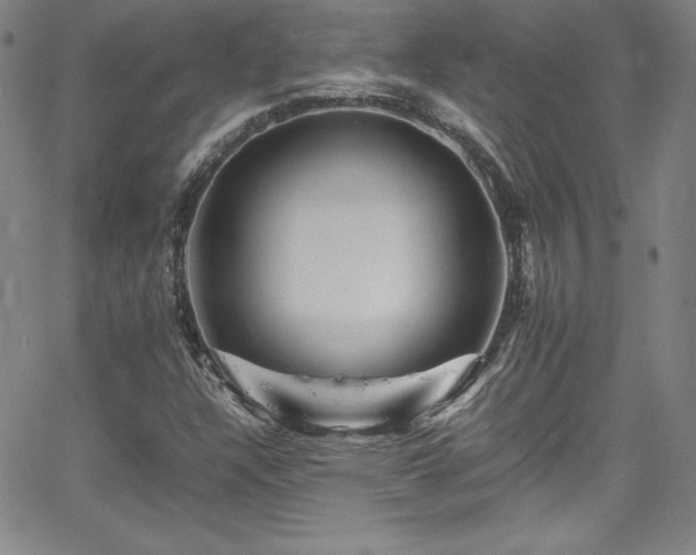 X0000065981304200603061204