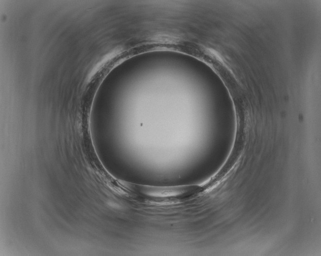 X0000065981307200603061204