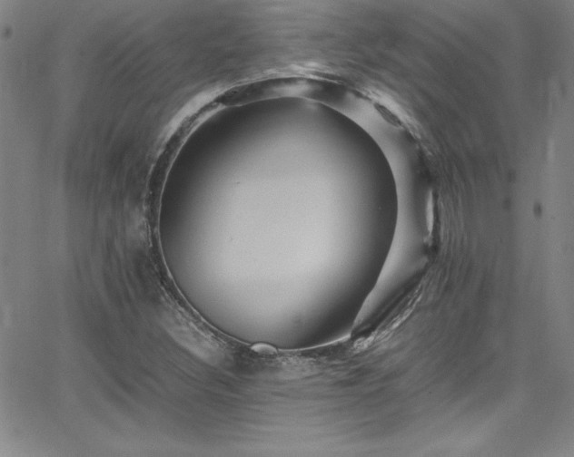 X0000065981308200603061204