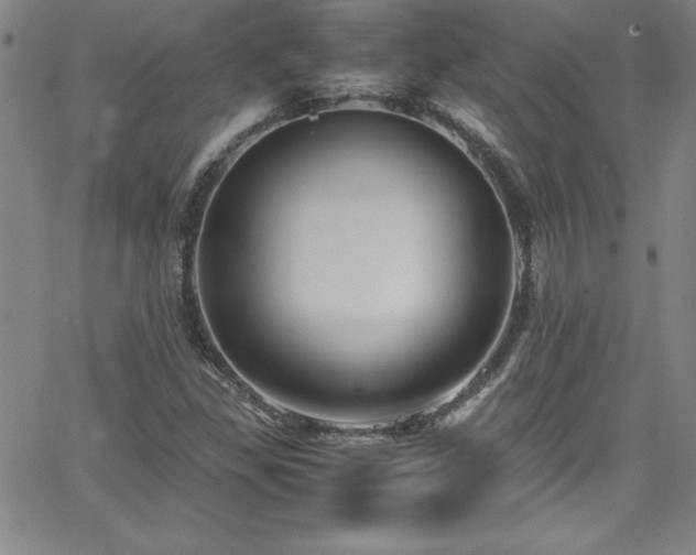 X0000065981309200603061204