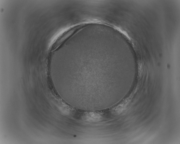 X0000065981311200603061204