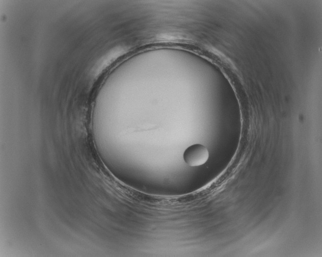 X0000065981314200603061204