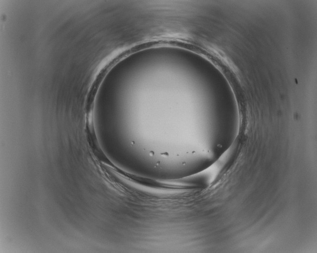 X0000065981316200603061204