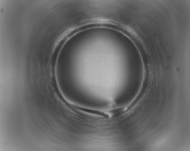 X0000065981318200603061204