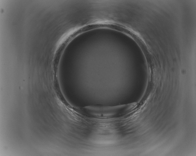 X0000065981319200603061204