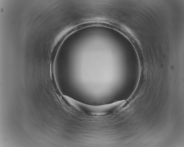 X0000065981320200603061204