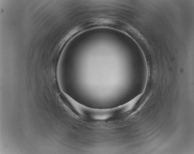 X0000065981321200603061204