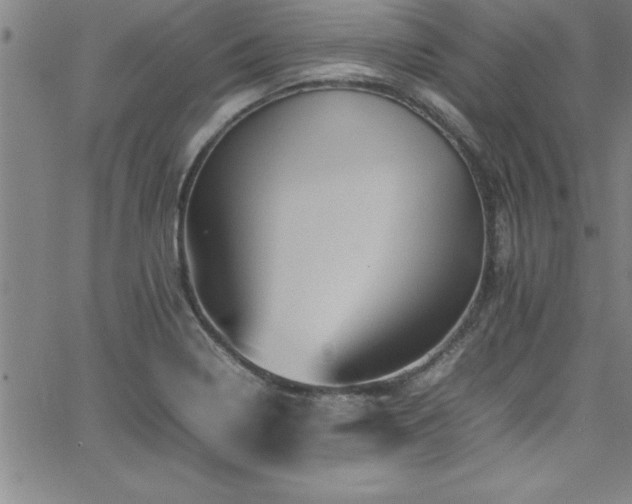 X0000065981322200603061204