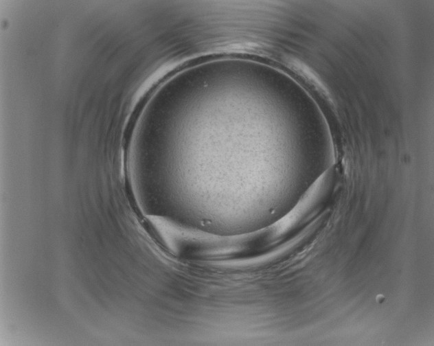 X0000065981324200603061205