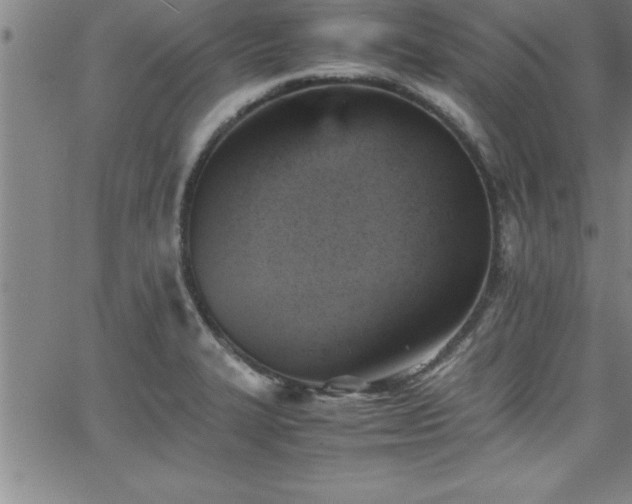 X0000065981327200603061205