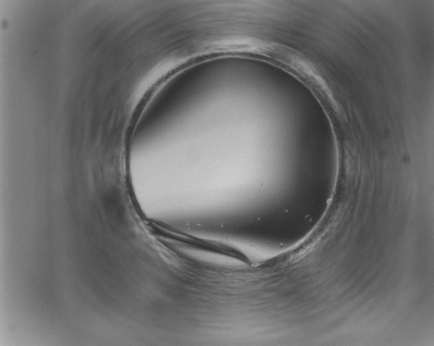 X0000065981328200603061205