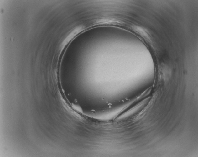 X0000065981330200603061205