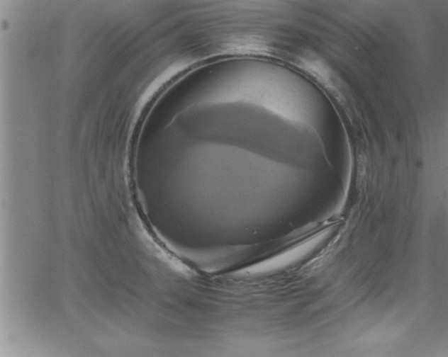 X0000065981331200603061205