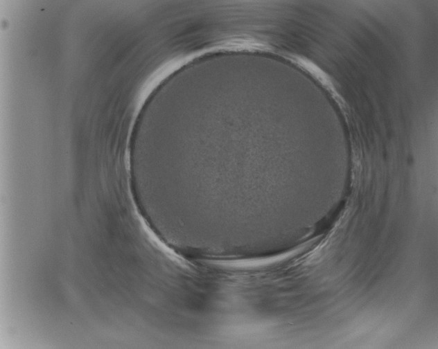 X0000065981335200603061205