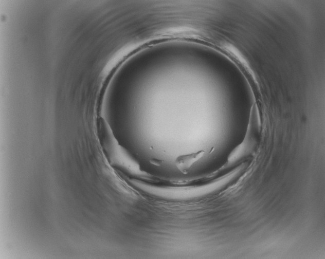 X0000065981336200603061205