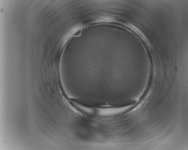 X0000065981337200603061205