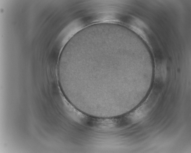 X0000065981338200603061205