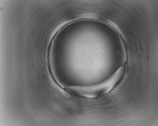 X0000065981339200603061205