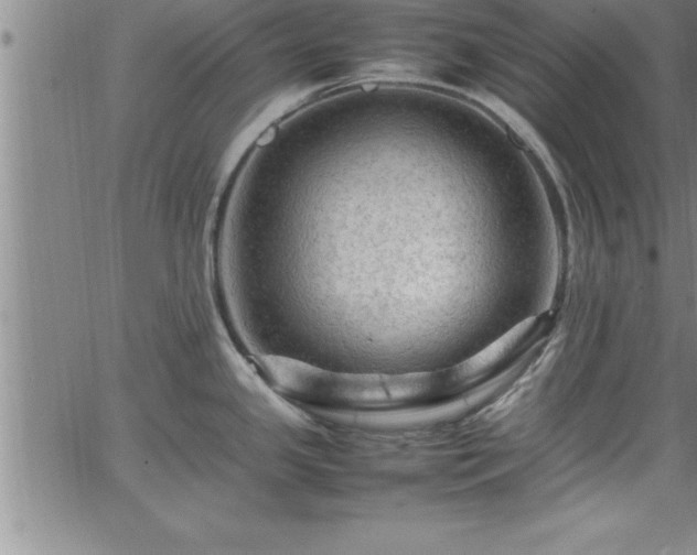 X0000065981341200603061205