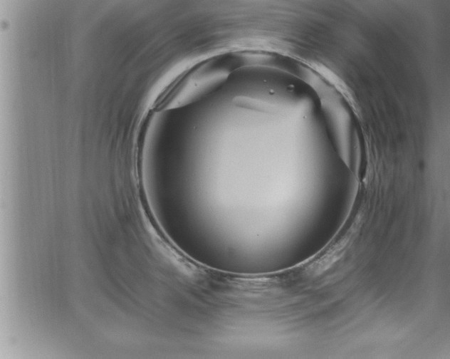 X0000065981342200603061205