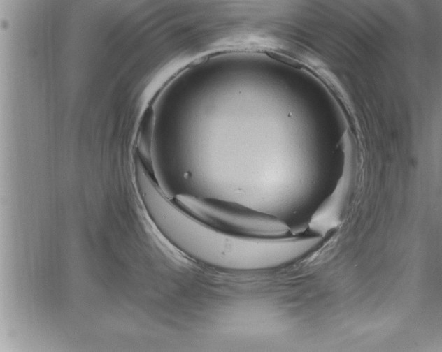 X0000065981344200603061205