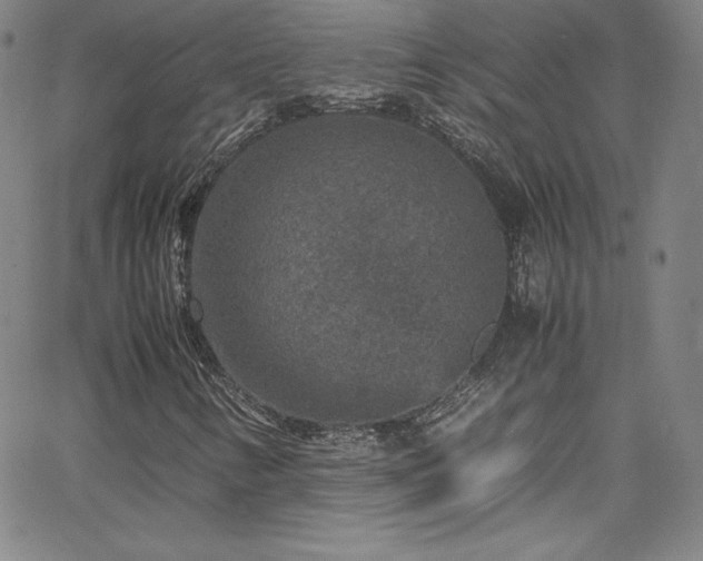 X0000065981346200603061204