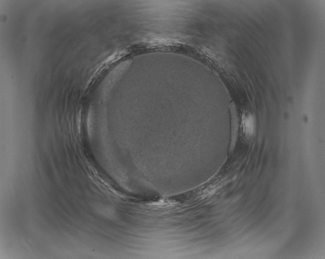 X0000065981348200603061204