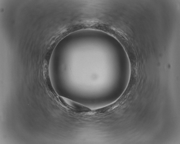 X0000065981349200603061204