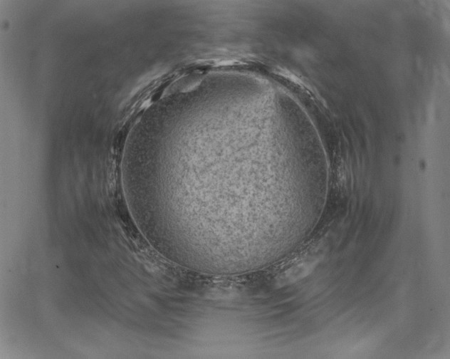 X0000065981350200603061204