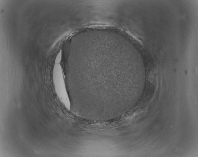 X0000065981351200603061204