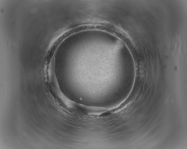 X0000065981352200603061204