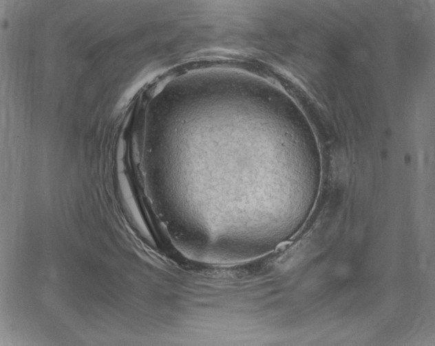 X0000065981355200603061204