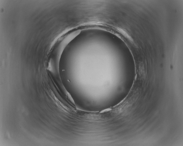 X0000065981356200603061204