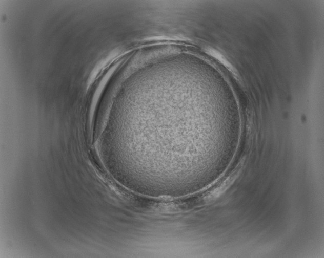 X0000065981357200603061204