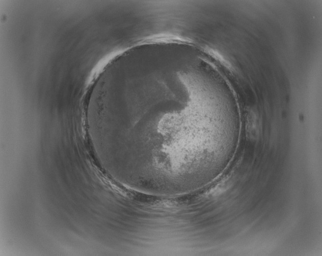 X0000065981358200603061204